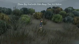 Скриншот 2 к игре Storm Boy