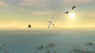 Скриншот 4 к игре Storm Boy