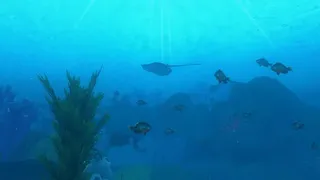 Скриншот 8 к игре Ocean's Treasures