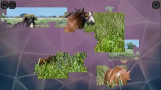 Скриншот 3 к игре Puzzles for smart: Horses
