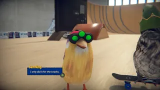 Скриншот 3 к игре SkateBIRD