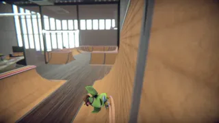 Скриншот 5 к игре SkateBIRD