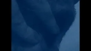 Скриншот 6 к игре HORSE