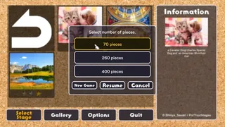 Скриншот 2 к игре Jigsaw Masterpieces