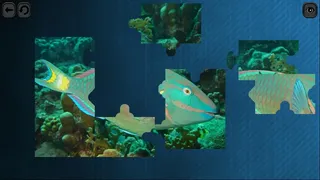 Скриншот 1 к игре Puzzles for smart: Underwater Kingdom