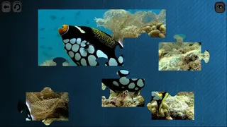 Скриншот 3 к игре Puzzles for smart: Underwater Kingdom