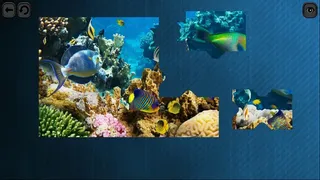 Скриншот 4 к игре Puzzles for smart: Underwater Kingdom