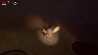 Скриншот 5 к игре Damnaze