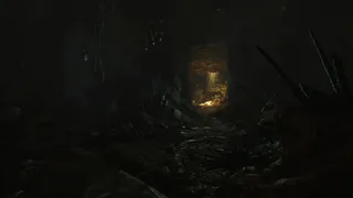 Скриншот 7 к игре Amnesia: Rebirth