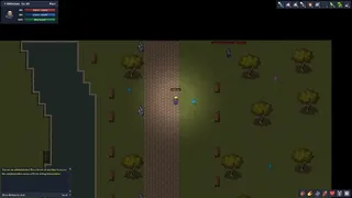 Скриншот 1 к игре DragoonWorld Online