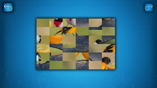 Скриншот 3 к игре PUZZLE: BIRDS