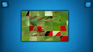 Скриншот 4 к игре PUZZLE: BIRDS