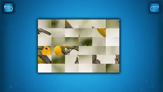 Скриншот 5 к игре PUZZLE: BIRDS