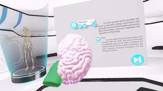 Скриншот 3 к игре VRLab Academy Anatomy VR