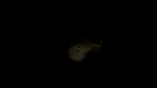 Скриншот 7 к игре Trapped in Fear