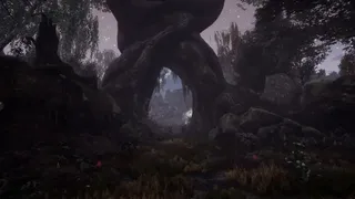 Скриншот 3 к игре The Dead Tree of Ranchiuna