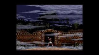 Скриншот 5 к игре Castlevania Anniversary Collection