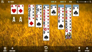 Скриншот 6 к игре Solitaire Collection