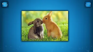 Скриншот 2 к игре PUZZLE: ANIMALS