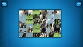 Скриншот 5 к игре PUZZLE: ANIMALS