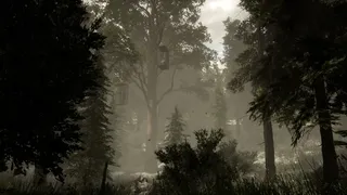 Скриншот 1 к игре The Woods: VR Escape the Room