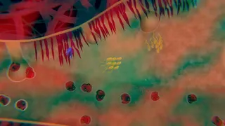 Скриншот 6 к игре biorhythm