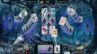 Скриншот 1 к игре The far Kingdoms: Winter Solitaire