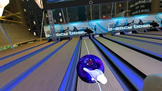 Скриншот 2 к игре Owling. Crowling. Bowling!