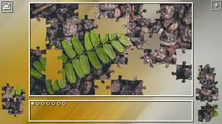 Скриншот 1 к игре Super Jigsaw Puzzle: Generations