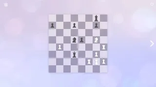 Скриншот 1 к игре Zen Chess: Mate in Two