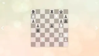 Скриншот 2 к игре Zen Chess: Mate in Two