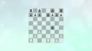 Скриншот 4 к игре Zen Chess: Mate in Two