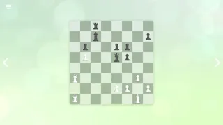 Скриншот 5 к игре Zen Chess: Mate in Two