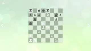 Скриншот 3 к игре Zen Chess: Mate in Four