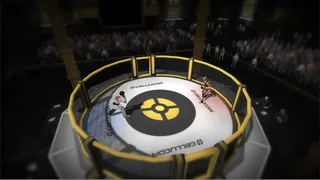Скриншот 8 к игре MMA Arena