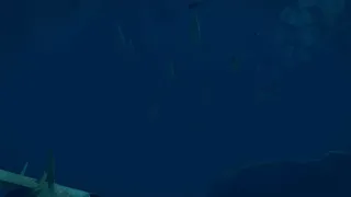 Скриншот 4 к игре Virtual Arctic Expedition
