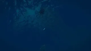 Скриншот 7 к игре Virtual Arctic Expedition