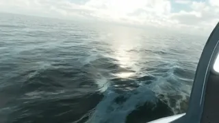 Скриншот 5 к игре F18 Carrier Landing
