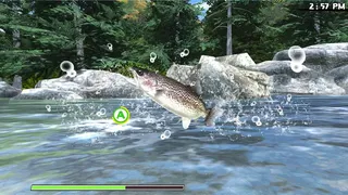 Скриншот 7 к игре Reel Fishing: Road Trip Adventure
