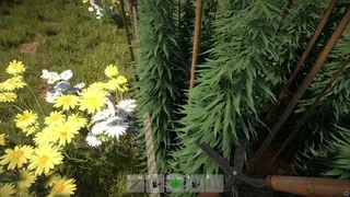 Скриншот 3 к игре Weed Farmer Simulator