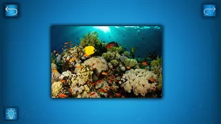Скриншот 1 к игре PUZZLE: OCEAN