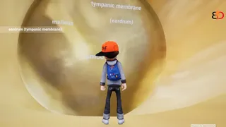 Скриншот 7 к игре Body Discovery