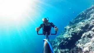 Скриншот 5 к игре Swimming with Humpbacks