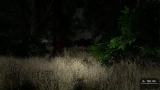 Скриншот 3 к игре THE RITUAL (Indie Horror Game)