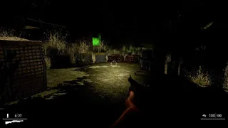 Скриншот 4 к игре THE RITUAL (Indie Horror Game)