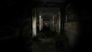 Скриншот 6 к игре Pulang Insanity - Director's Cut