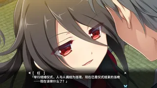 Скриншот 5 к игре 月影魅像-解放之羽-