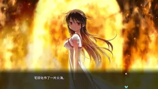 Скриншот 7 к игре 月影魅像-解放之羽-
