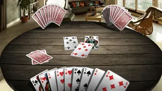 Скриншот 1 к игре Skat 3D Premium