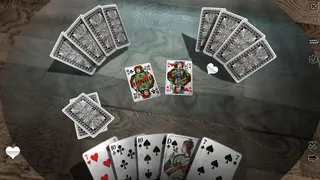 Скриншот 3 к игре Skat 3D Premium